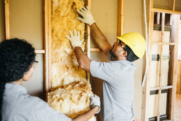 Trusted Sioux Center, IA Insulation Experts